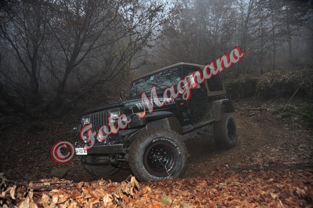 DSC_3742.jpg